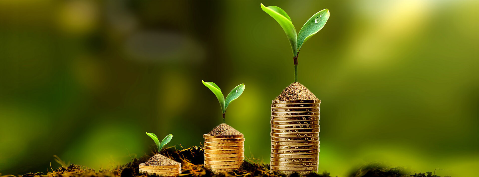 浴室人妻的情欲HD三级国产